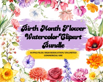 Mes de nacimiento flores clipart paquete uso comercial acuarela nacimiento flor diseño digital paquete PNG archivos descargables clipart acuarela