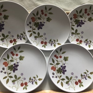 Noritake Progression BERRIES' N SUCH 9070 8 1/4" piatti di insalata. Set di 5