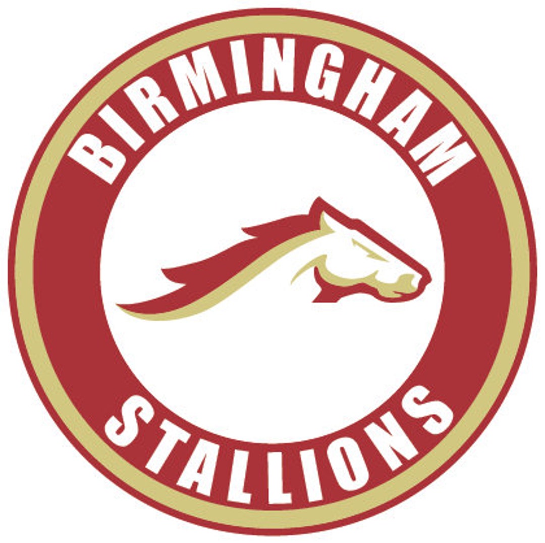 Birmingham Stallions Circle Logo Vinyl Decal / Sticker 10 Etsy