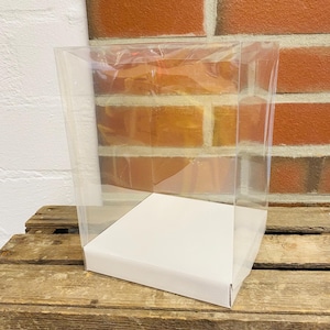 Könnte beinhalten: Eine transparente, rechteckige Präsentationsbox mit weißem Boden. Die Box besteht aus transparentem Kunststoff und ermöglicht volle Sichtbarkeit des Inhalts. Die Box dient dazu, Artikel zu präsentieren und zu schützen.