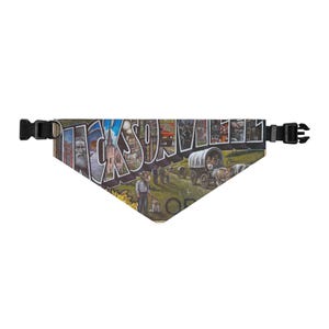 Greetings from Jacksonville -Pet bandana collar