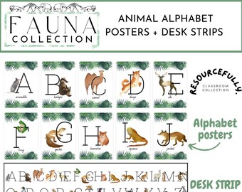 Animal Alphabet Posters and Student Desk Strips  l Fauna Alphabet l Jungle Alphabet Display l Teacher Resource l Digital Print l Class Decor