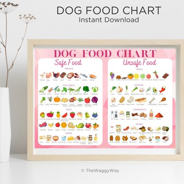 Food Chart - Etsy