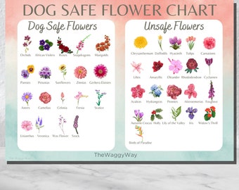 Dog Safety Flowers Chart, Dog Safe Garden Cheat Sheet, Printable Safe Dog Flower List, Dog Safe Flower guide poster