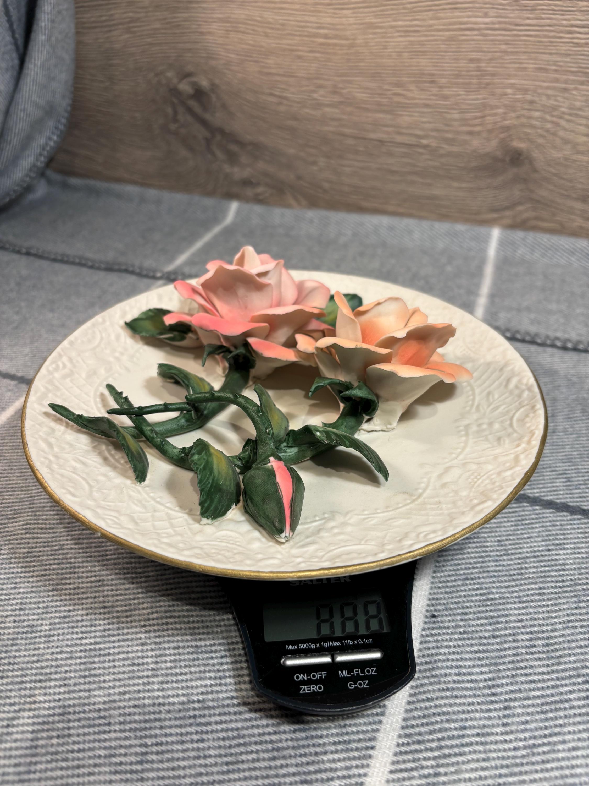 Vintage Roses of Capodimonte Fine Bisque Porcelain Plate | Limited