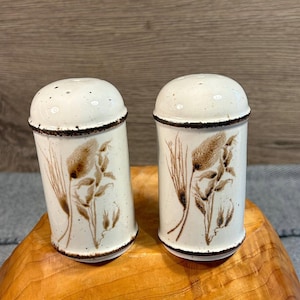 May include: A pair of cylindrical ceramic salt and pepper shakers featuring a cream-colored speckled glaze. Each shaker is decorated with a brown botanical illustration of wheat stalks and has a dark brown rim at the top and bottom edges.
