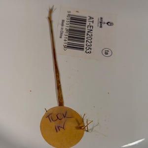 Pode incluir: Uma superf&iacute;cie branca com uma etiqueta retangular contendo um c&oacute;digo de barras, o texto AT-EN202353 e o log&oacute;tipo da Argon Tableware. Est&aacute; preso um fio fino, castanho e fibroso a uma pequena etiqueta redonda de papel bege com o texto escrito &agrave; m&atilde;o TUCK IN.