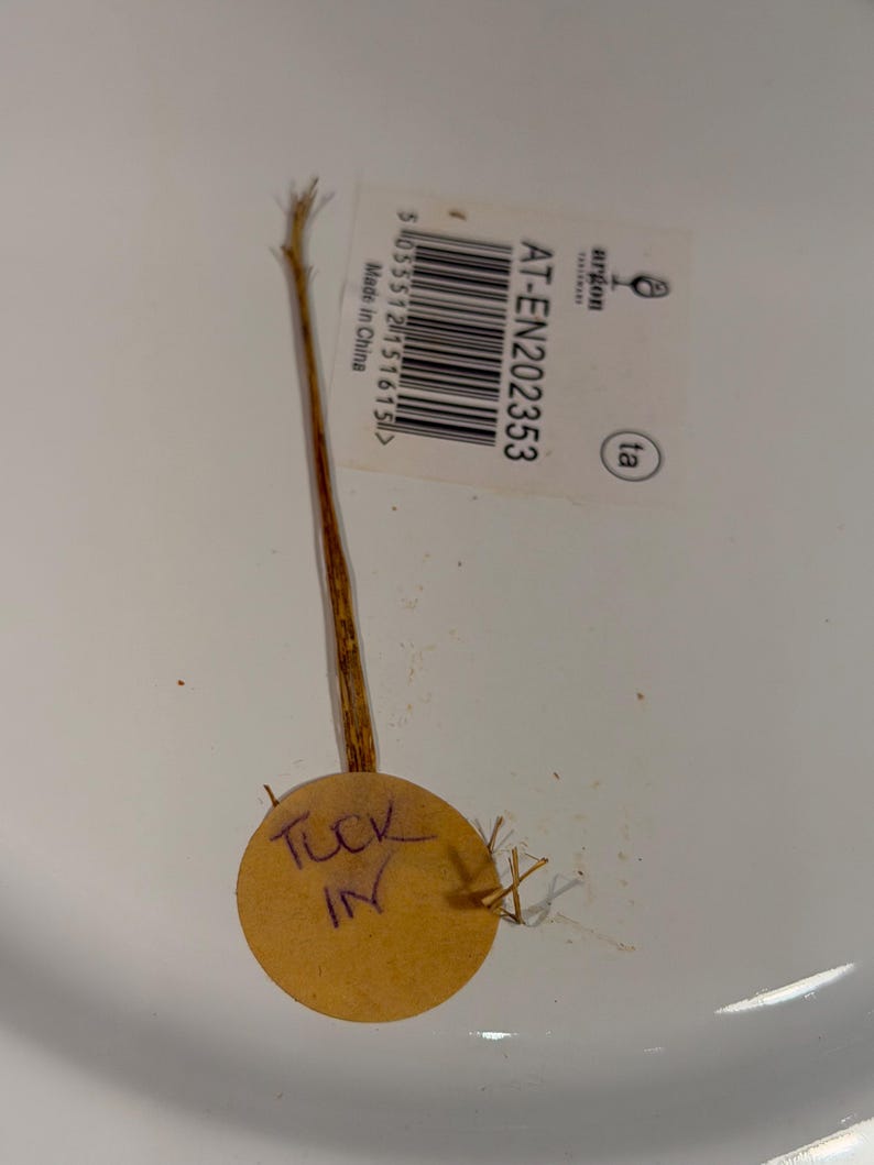 Pode incluir: Uma superf&iacute;cie branca com uma etiqueta retangular contendo um c&oacute;digo de barras, o texto AT-EN202353 e o log&oacute;tipo da Argon Tableware. Est&aacute; preso um fio fino, castanho e fibroso a uma pequena etiqueta redonda de papel bege com o texto escrito &agrave; m&atilde;o TUCK IN.