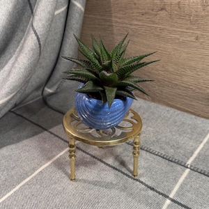 Könnte beinhalten: Eine kleine, dunkelgrüne Sukkulentenpflanze in einem blauen Keramiktopf mit muschelartigem Design. Der Topf steht auf einem kleinen, runden, goldfarbenen Pflanzenständer aus Metall mit drei Beinen. Der Hintergrund zeigt eine grau-weiß gestreifte Decke und eine Holzwand.