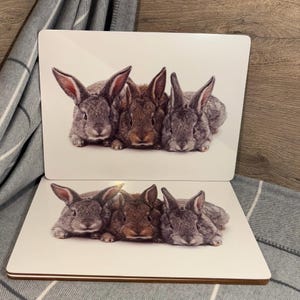 Könnte beinhalten: Drei Babykaninchen, ein braunes und zwei graue, kuscheln sich auf einem weißen Hintergrund. Die Kaninchen haben die Augen offen und schauen in die Kamera.