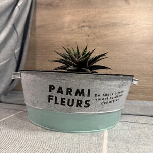 Op de afbeelding: Een vetplant met donkergroene, puntige bladeren staat in een ronde metalen plantenbak. De bak heeft een verweerd wit bovendeel met de zwarte tekst PARMI FLEURS en een licht mintgroene onderkant. Kleine metalen handvatten aan de zijkanten.