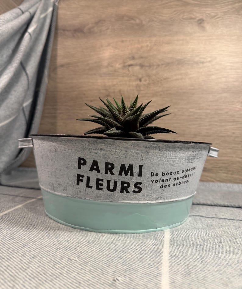 Op de afbeelding: Een vetplant met donkergroene, puntige bladeren staat in een ronde metalen plantenbak. De bak heeft een verweerd wit bovendeel met de zwarte tekst PARMI FLEURS en een licht mintgroene onderkant. Kleine metalen handvatten aan de zijkanten.