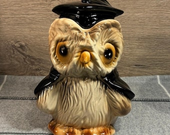 Vintage afstudeeruil keramische koekjestrommel | Old Retro Wise Nocturnal Bird Kitchenalia | Intellectuele verzamelobjecten van de nachtuil