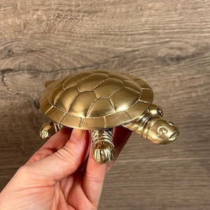 Vintage Mid Century Brass Tortoise Hinged Lid Trinket Tray Box | MCM Turtle Jewellery Box | Exotic Aquatic Reptile Collectible & Home Decor
