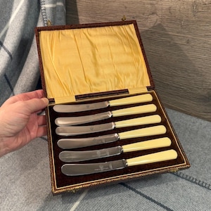 May include: A set of six butter knives with ivory-colored handles and silver blades, presented in a vintage brown velvet-lined box with a gold satin interior. The knives are arranged neatly inside the open box.