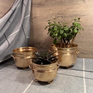 May include: Three antique brass planters with small handles and feet. Two planters hold green succulents, and one is empty. The planters are arranged on a gray and white plaid surface, with a wooden background.