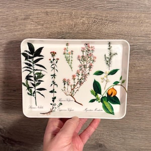 Może przedstawiać: Prostokątna biała ceramiczna taca z botanicznymi ilustracjami różnych ziół i roślin. Taca zawiera szczegółowe rysunki liści, kwiatów i łodyg, z łacińskimi nazwami wydrukowanymi pod każdą rośliną. Taca jest trzymana przez dłoń.