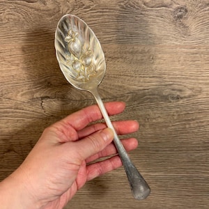 Puede incluir: Una cuchara de servir de plata con un diseño ornamentado de fruta, posiblemente manzanas, en el cuenco. La cuchara tiene un mango largo y delgado.