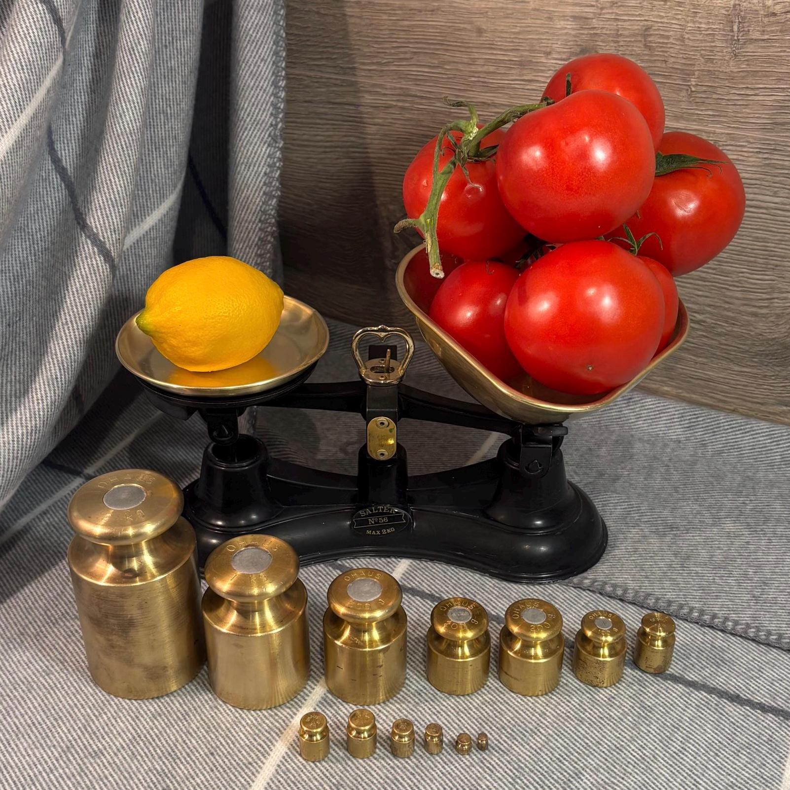 Salter No 56 Scales - Etsy