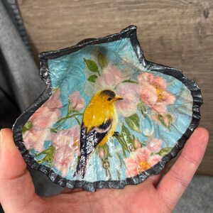 Könnte beinhalten: Eine Muschel mit schwarzem Rand, verziert mit einem gemalten Bild eines gelben Vogels mit schwarzen Markierungen, der auf einem Zweig mit rosa Blüten und blauen Blättern sitzt.