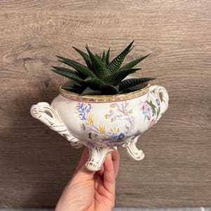 May include: A white ceramic planter with a gold rim and floral designs, holding a dark green succulent plant. The planter has ornate handles and feet. A decorative piece for home decor.
