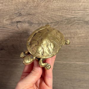 May include: A brass turtle figurine with detailed shell and limbs. The turtle is a golden color and has a textured surface. The figurine is a decorative item.
