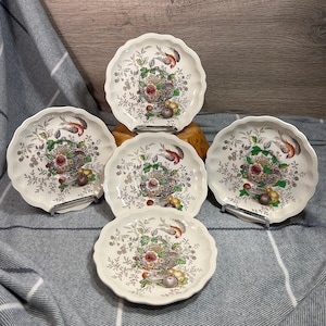 Vintage Royal Doulton Hampshire Hergestellt in England überbackener traditioneller brauner Vogel mit Urne voller Blumen und Obstuntertassen - 17 cm - 5er Set