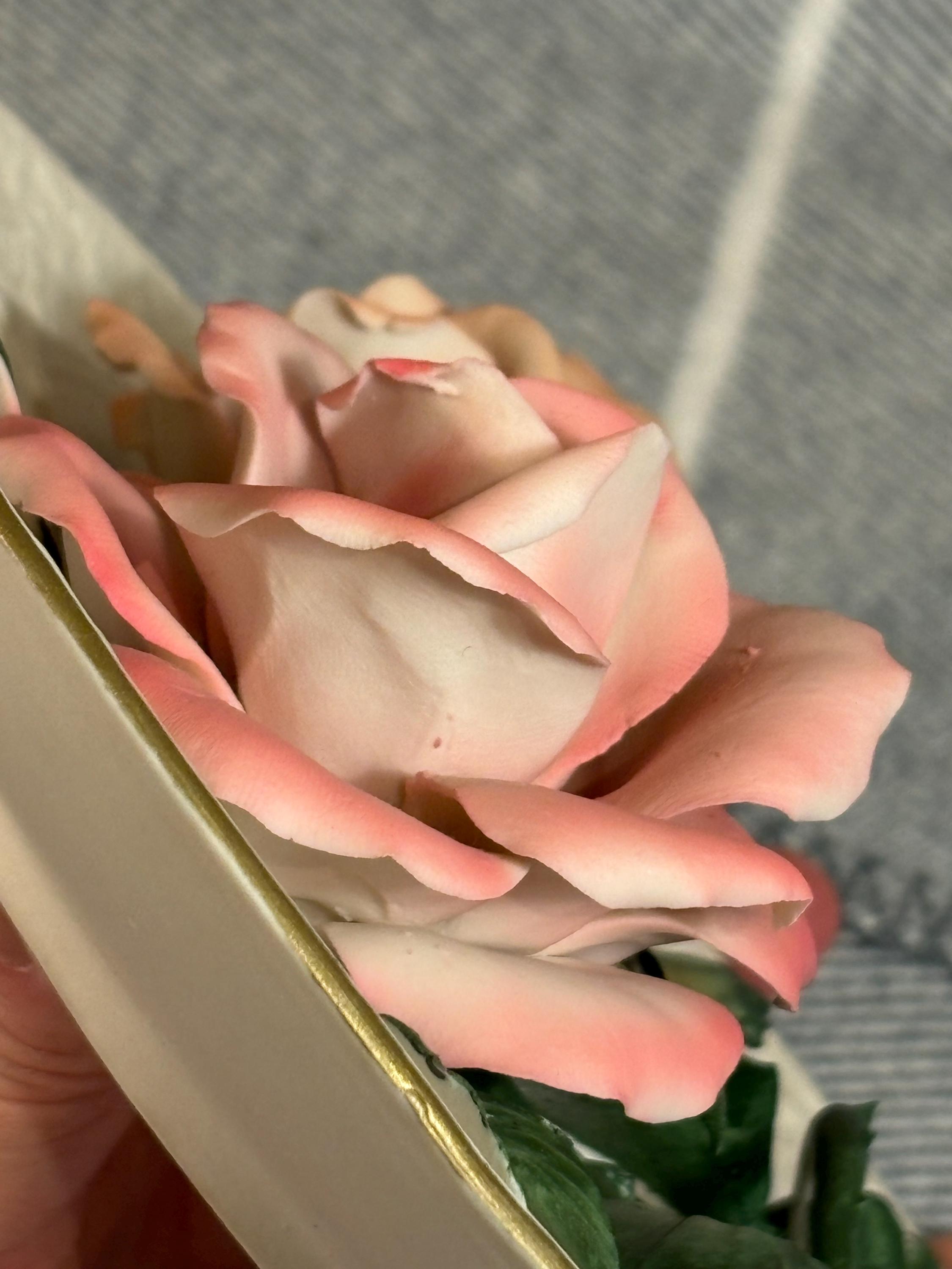 Vintage Roses of Capodimonte Fine Bisque Porcelain Plate | Limited