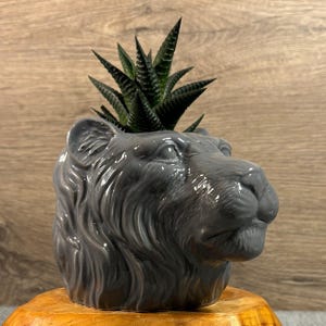 中古のライオンヘッド グレー セラミック プランター 小型植物用 | ジャングルの王様 トロピカル ホーム | 獅子座 8 月の星座占い | サファリ ビッグ キャッツ