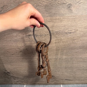 Peut inclure: Un ensemble de trois clés anciennes en métal sombre et patiné présentant des textures de rouille visibles. Les clés sont fixées à un anneau métallique circulaire et possèdent des tiges ornées ainsi que des pannetons aux motifs complexes.