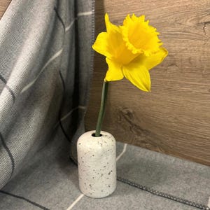 Preloved Umgenutzter Moderner Stil Keramik gesprenkelte Diffusor Ständer Jetzt eine Vase | Einzelstiel-Blumenhalter | Wohnaccessoires mit entspannter Optik