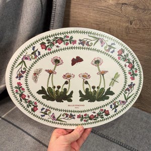 Vintage Portmeirion Botanische Gärten Melamin Oval Auflaufform Ständer Untersetzer Made in England | Gänseblümchen Bellis Perennis | Europäische Pflanze Blumen