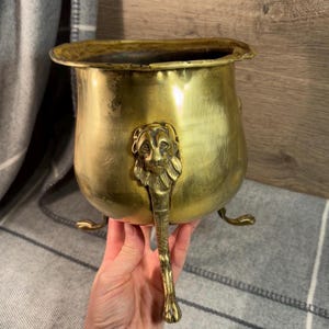 Testa di leone in ottone vintage e zampa a 3 zampe Jardiniere / Oggetti da collezione Jardinière antica / Vecchi supporti per fioriere da interno / Arredamento rustico di lusso