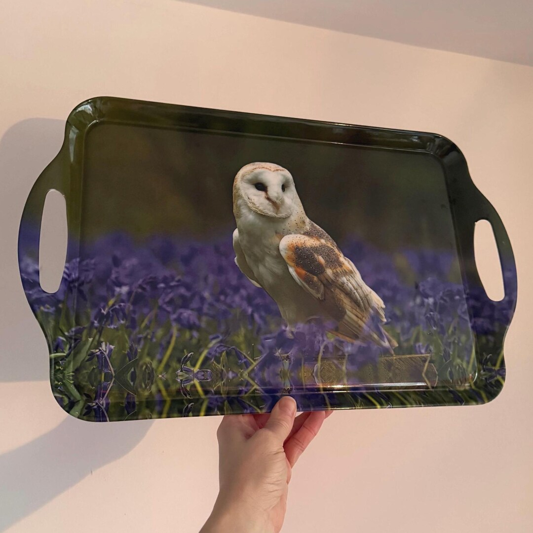 preloved-barn-owl-bird-of-prey-british-wildlife-blue-flowers-valley