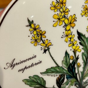 Vintage Villeroy & Boch Agrimonia Eupatoria Yellow Flower Botanica Luxembourg Vitro Porcelain Round Lidded Jewellery Trinket Bowl Dish Box image 7