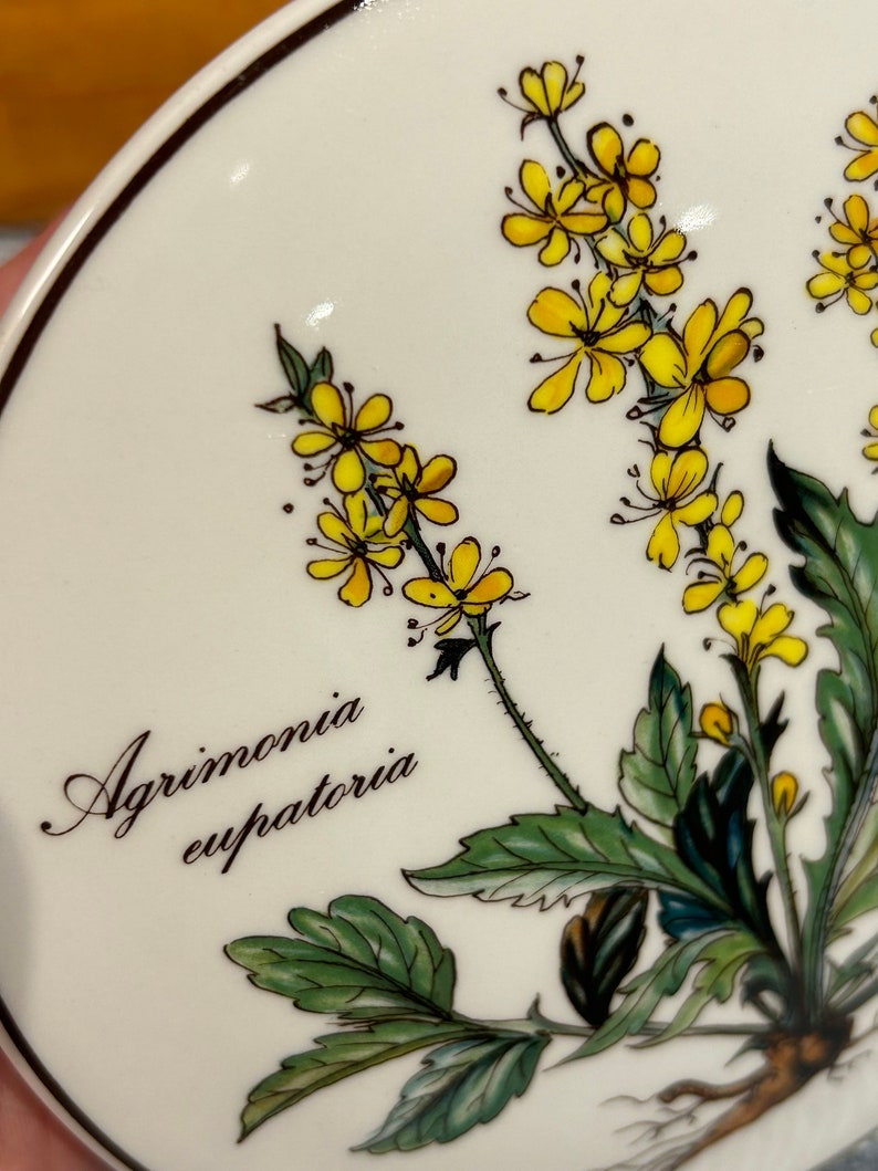 Vintage Villeroy & Boch Agrimonia Eupatoria Yellow Flower Botanica Luxembourg Vitro Porcelain Round Lidded Jewellery Trinket Bowl Dish Box image 7