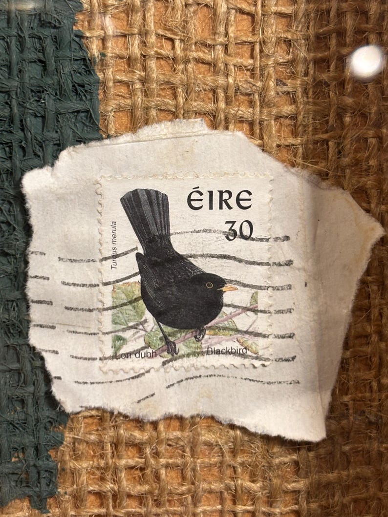 Puede incluir: Un sello postal irland&eacute;s vintage que muestra un mirlo posado en una rama. El sello est&aacute; etiquetado como "&eacute;ire 30" e incluye el nombre cient&iacute;fico del ave "Turdus merula" y el nombre irland&eacute;s "Lon dubh".