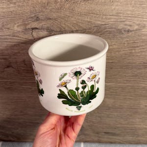 May include: A white ceramic planter featuring a botanical illustration of Bellis perennis, commonly known as the daisy. The design includes green leaves, white and yellow flower heads, and small insects. The text Bellis Perennis is printed below.
