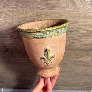 Fioriera vintage in terracotta dorata con piedistallo a forma di giglio/iris stilizzati / Accessori per giardinieri / Vasi da fiori per botanici