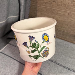 Peut inclure: Un cache-pot en céramique blanche orné d'une illustration botanique de fleurs de liseron bleu et jaune, de feuilles vertes et d'un papillon détaillé. Le récipient cylindrique présente une finition lisse et un large bord supérieur ouvert.