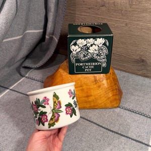Vintage 1972 Portmeirion Lepidotum Rhododendron Small Round Indoor Planter in Original Box | Susan Williams Ellis Botanic Garden Cache Pots