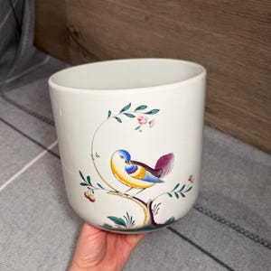 Vintage Spode Queen’s Bird Y4973 England Large Round Ex Cookie Jar Biscuit Barrel Now Indoor Planter | Wildlife English Pottery Collectibles