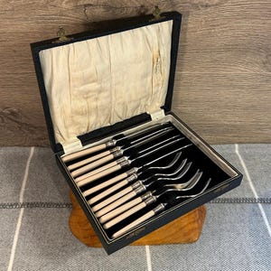 Set di posate vintage Harrison Fisher HF & Co S EP in argento e grigio con manico in celluloide per 6 persone nella scatola originale / Posate retrò