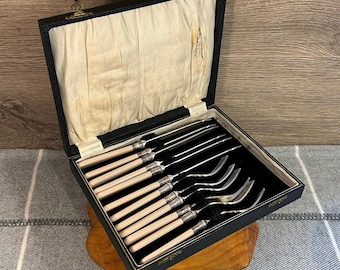 Vintage Harrison Fisher HF & Co S EP Silver Tone and Grey Colour Celluloid Handle Set for 6 in Original Box Case | Retro Flatware Silverware