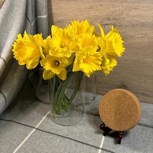 Jarra de agua moderna, ligera y grande de vidrio transparente con tapa de corcho, de segunda mano. Jarrón versátil con asa rectangular. Artículos de cocina contemporáneos para el hogar.