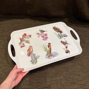 May include: A rectangular white serving tray with integrated handles featuring a colourful illustration of six different birds, including a robin, blue tit, tawny owl, barn owl, kingfisher, and goldfinch, each labelled with its common name.