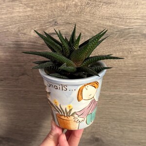 May include: A small, dark green succulent plant in a hand-painted ceramic pot. The pot is light blue with a cartoon illustration of a person and the word "Snails...". The plant has sharp, pointed leaves and is set against a wooden background.