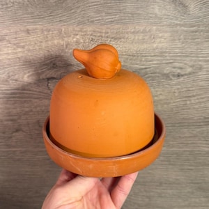 May include: A terracotta garlic baker, featuring a domed lid with a small handle. The baker has a round shape and a shallow base. The color is a warm orange-brown. Designed for cooking garlic, it measures approximately 15 cm in diameter.