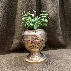 Peut inclure: Un pot de fleurs sur pied en métal avec un corps arrondi orné de motifs floraux et de feuilles en relief aux tons cuivrés. Le récipient possède une base large et évasée ainsi qu'un bord lisse, contenant une plante succulente verte.