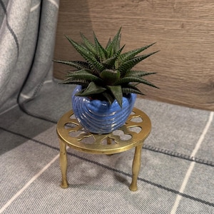 May include: A small, dark green succulent plant in a blue ceramic pot with a textured design. The pot sits on a small, round, gold-colored metal plant stand with three legs. The stand is on a gray and white patterned surface.